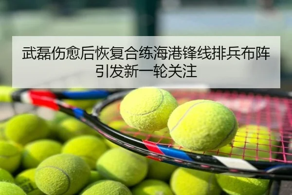 武磊伤愈后恢复合练海港锋线排兵布阵引发新一轮关注